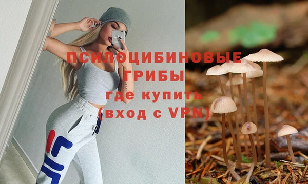 спиды Арсеньев