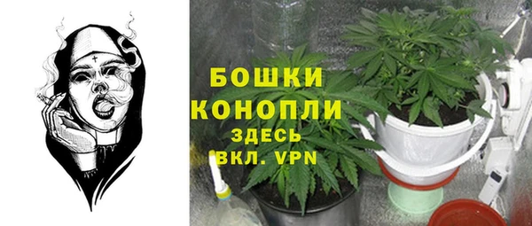 спиды Арсеньев