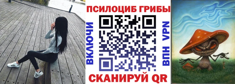 Купить где  Куровское  Галлюциногенные грибы MAGIC MUSHROOMS 
